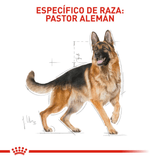 BHN GERMAN SHEPHERD ADULT - ADULTO.png